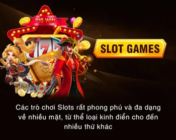 Phản hồi nhanh chóng